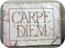 Carpe Diem