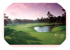 scenic golf course image