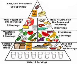 Food pyramid