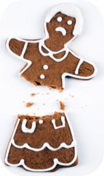 broken gingerbread lady